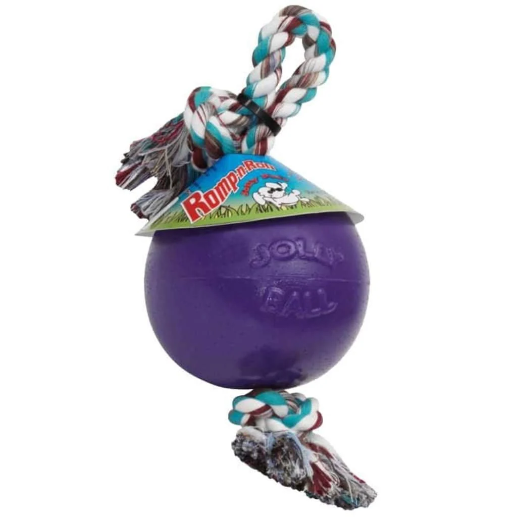 Responsible Jolly Pets Romp-n-Roll Rope and Ball Dog Toy for Large Breeds – 8 Inches Purple World-Class