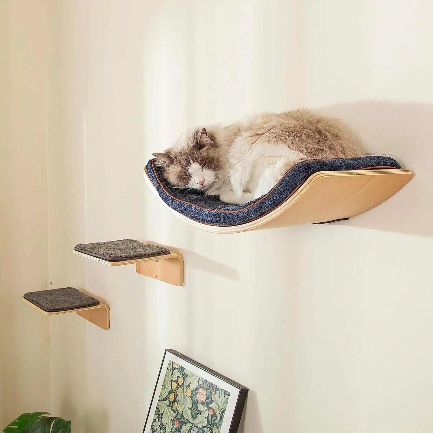 Refined Cat Wall Shelf with Two Steps - Curved Cat Shelves and Perches for Wall Large Size - Wall Mounted Cats Furniture for Sleeping Playing Climbing and Lounging Relaxed