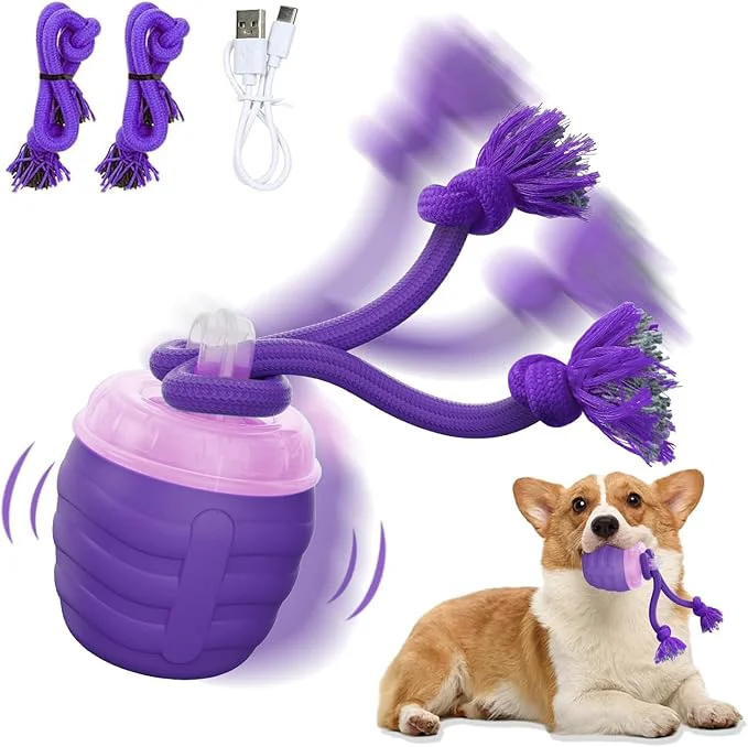 Elegant Interactive Dog Toy Newly Upgraded Motion Activated Rolling Ball for Small Dogs Automatic Moving Dogs Ball for Boredom USB Rechargeable Purple About This Elite