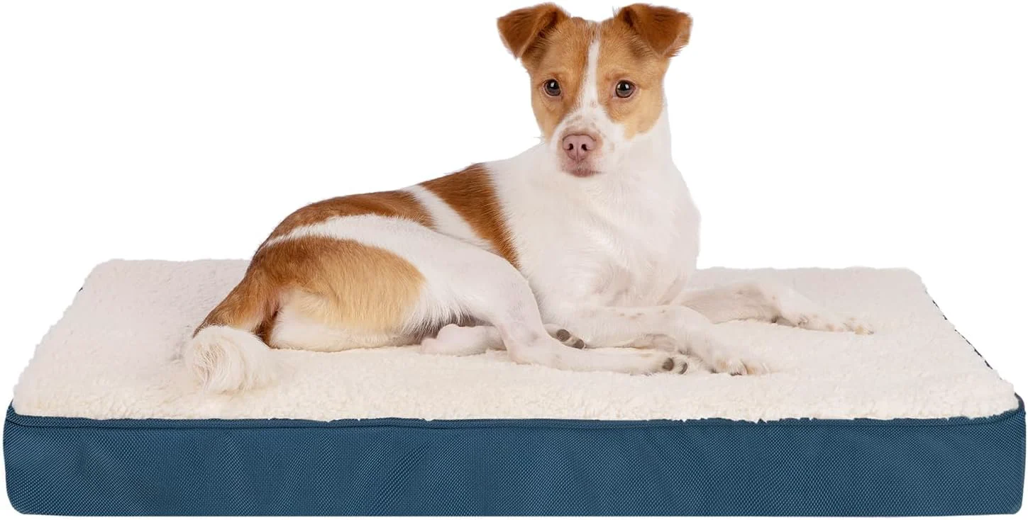 Responsible Pet Supplies Cute Dog Crate Mat Flat Bed with Waterproof Exterior Thick Orthopedic Egg Foam Mattress and Soft Sherpa Fleece Cover for Small Medium and Large Breeds - Blue 30X20X3 Original Design