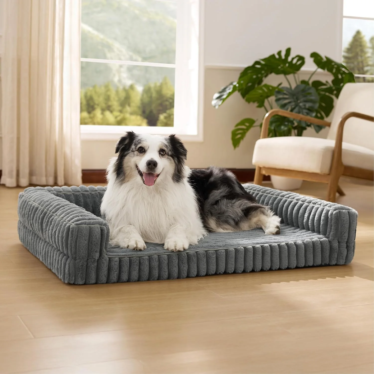 High-Performance Bedsure Orthopedic Dog Beds for Extra Large Dogs Waterproof Memory Foam XL Pet Bed with Sides Non-Slip and Egg-Crate Foam Big Dog Couch Sofa with Washable Removable Corduroy Cover Grey Genuine
