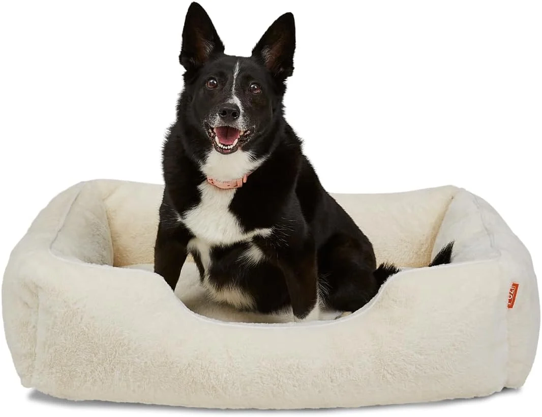 Reusable FUZI Luxury Aesthetic Dog Bed for Medium Dogs with Washable Cover Pet Couch Pet Bed with Sides Non-Slip Bottom Soft and Durable Calming Dog Bed Faux Rabbit Fur Medium 31.75x23.6x9.5 Soft White Prestigious