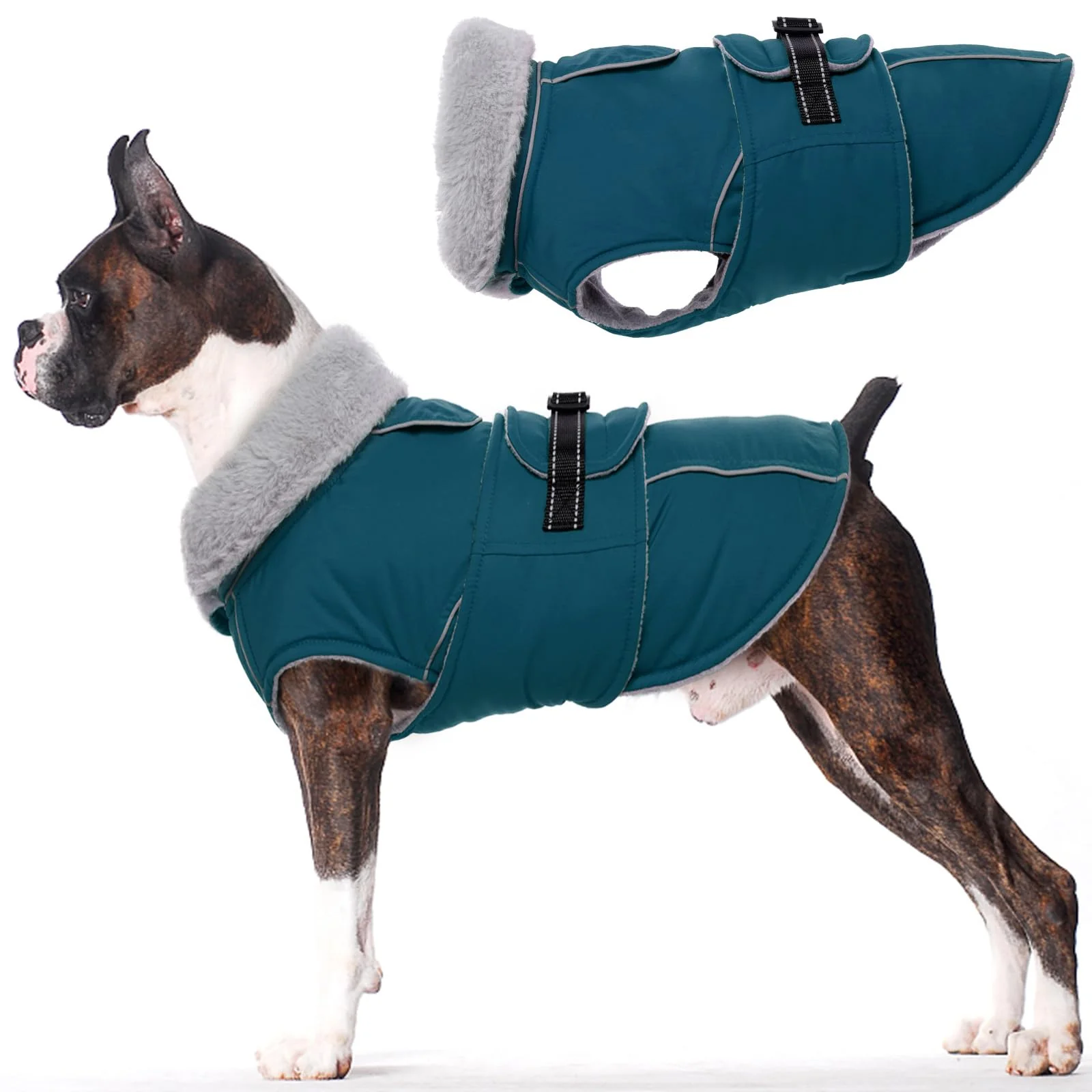 Relaxed LeLePet Warm Dog Coat for Small Dogs – Waterproof Reflective Winter Jacket Stylish