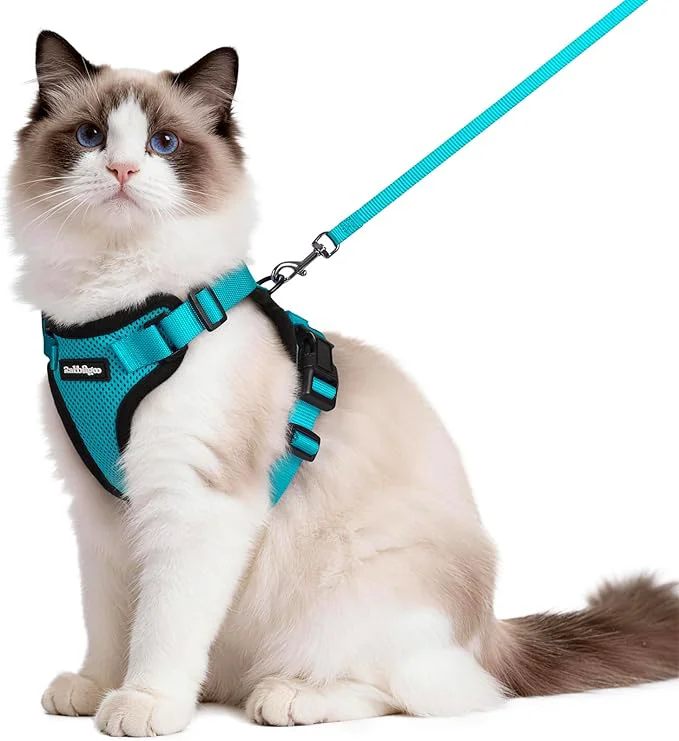 Secure rabbitgoo Cat Harness and Leash for Walking Escape Proof Soft Adjustable Vest Harnesses for Cats Easy Control Breathable Reflective Strips Jacket Teal MAbout ThisOverview Responsible