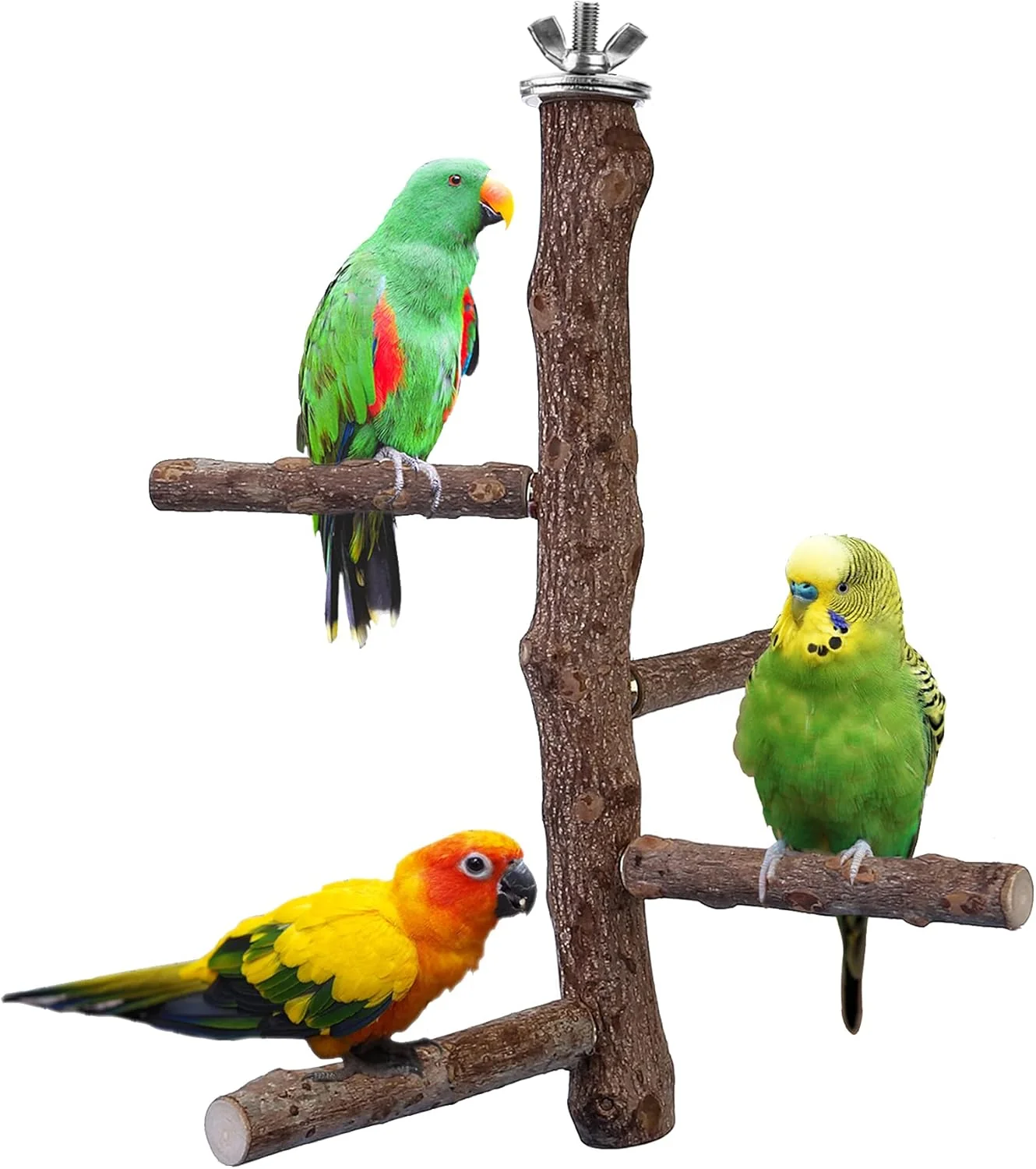 Organic Bird Perch Stand Toy Natural Wood Parrot Perch Bird Cage Branch Perch Accessories for Parakeets Cockatiels Conures Macaws Finches Love Birds M 10 Length Lightweight