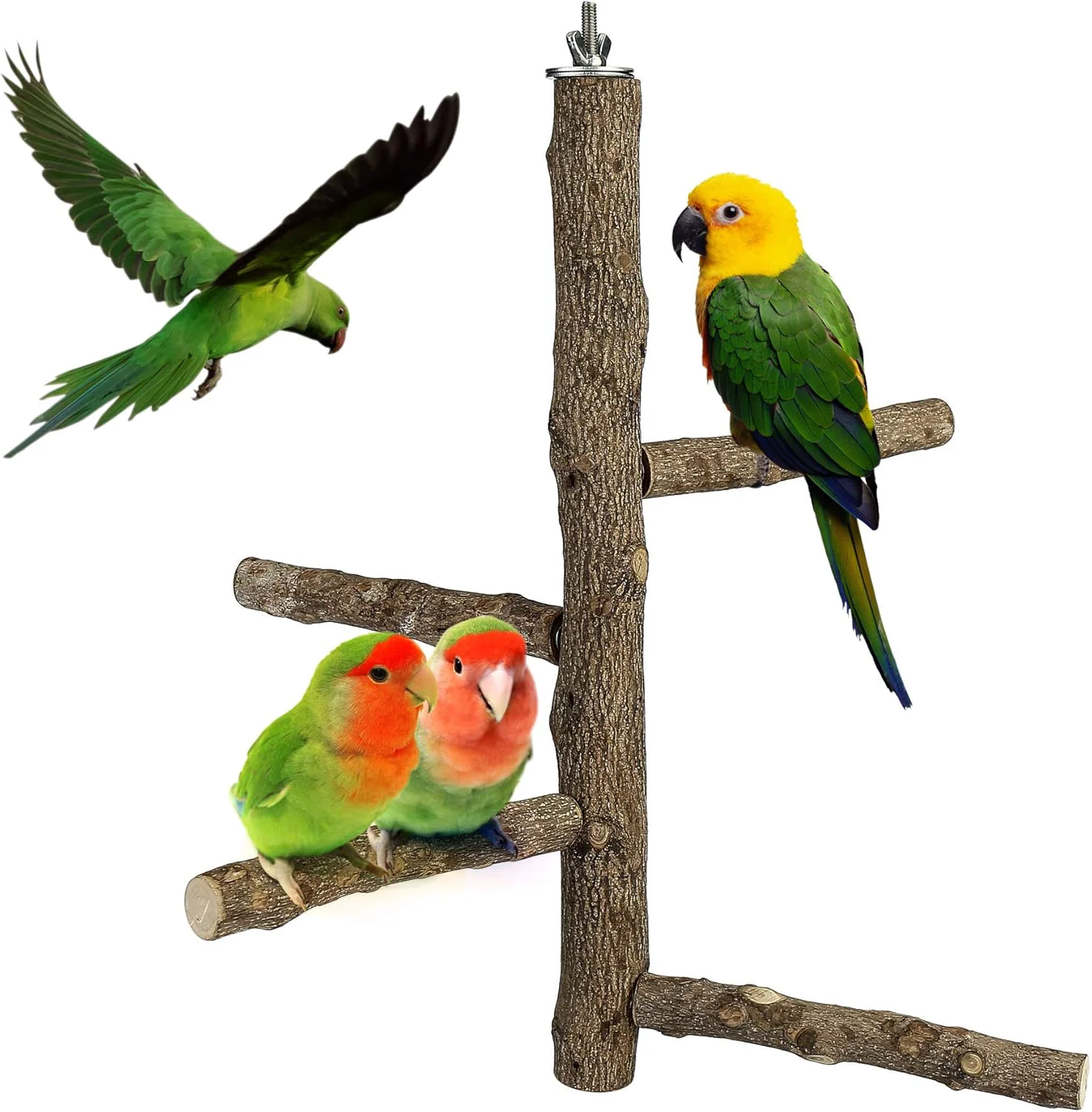 Responsible Bird Perch Stand Toy Natural Wood Parrot Perch Bird Cage Branch Perch Accessories for Parakeets Cockatiels Conures Macaws Finches Love Birds L 13.8 Length Outstanding