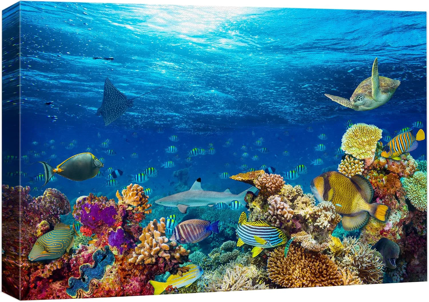 Expertly Made wall26 Canvas Print Wall Art Vibrant Sunshine Ray Coral Reef Turtle Fish Nature Animals Photography ism Rustic Scenic Landscape Wilderness Colorful for Living Room Bedroom Office - 12 x18 Stylish