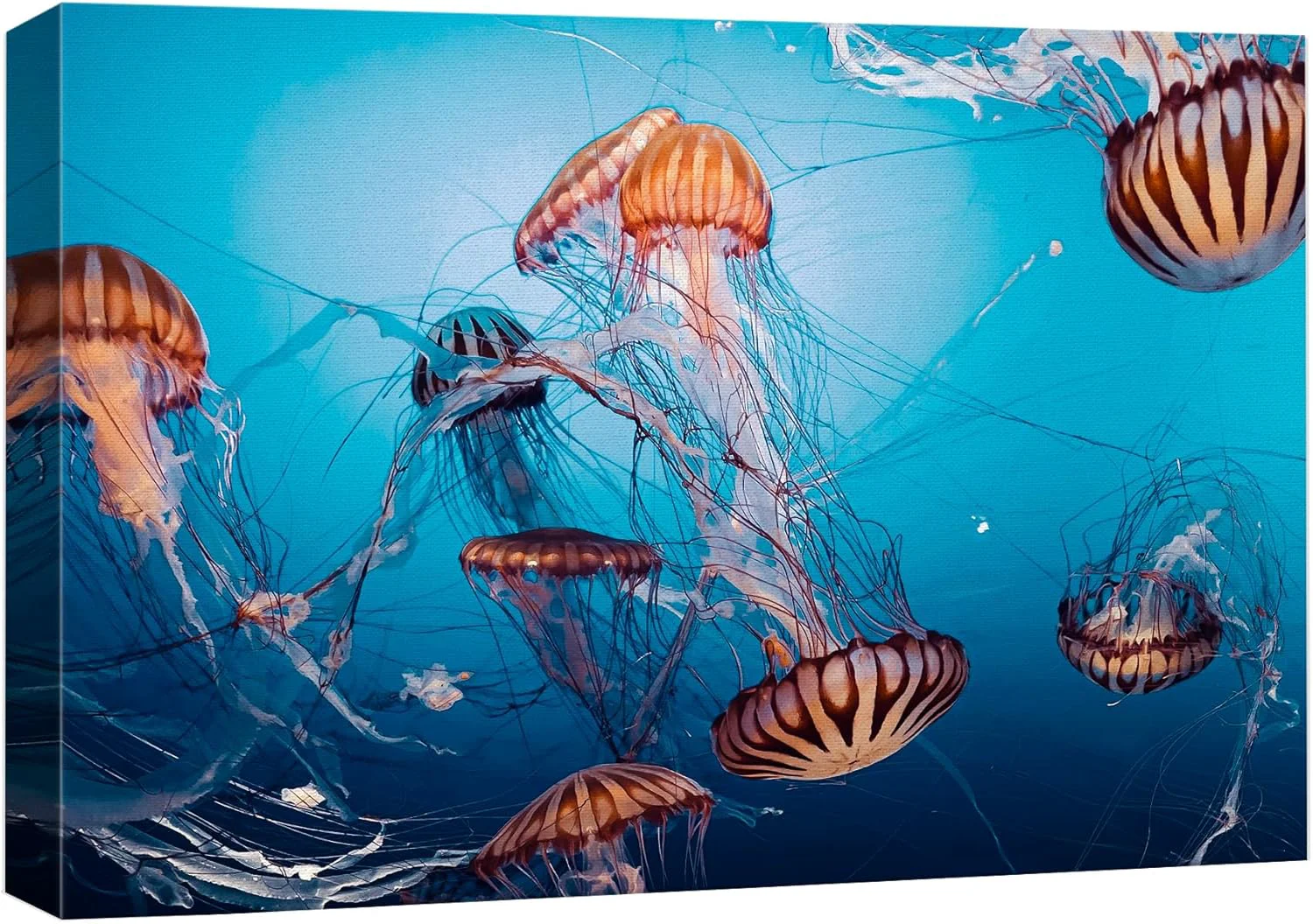 Organic wall26 Canvas Print Wall Art Tiger Stripe Jellyfish Underwater Ocean Sea Nature Animals Photography ism Rustic Scenic Landscape Wilderness Colorful for Living Room Bedroom Office - 32 x48 Professional