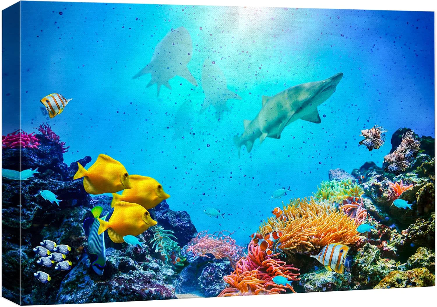 High-Quality wall26 Canvas Print Wall Art Vibrant Coral Reef Shark Fish Anemone Reef Nature Animals Photography ism Rustic Scenic Landscape Wilderness Earth for Living Room Bedroom Office - 24 x36 Green