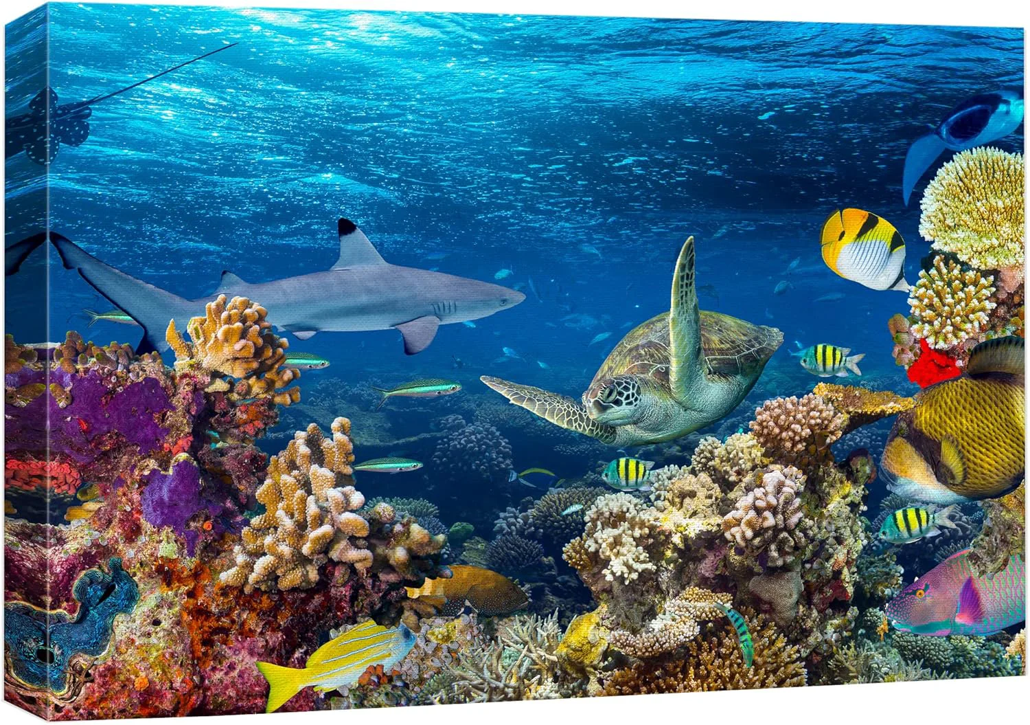 Fast wall26 Canvas Print Wall Art Tropical Island Underwater Turtle Shark Nature Animals Photography ism Rustic Scenic Landscape Wilderness Earth Colorful for Living Room Bedroom Office - 16 x24 Safe