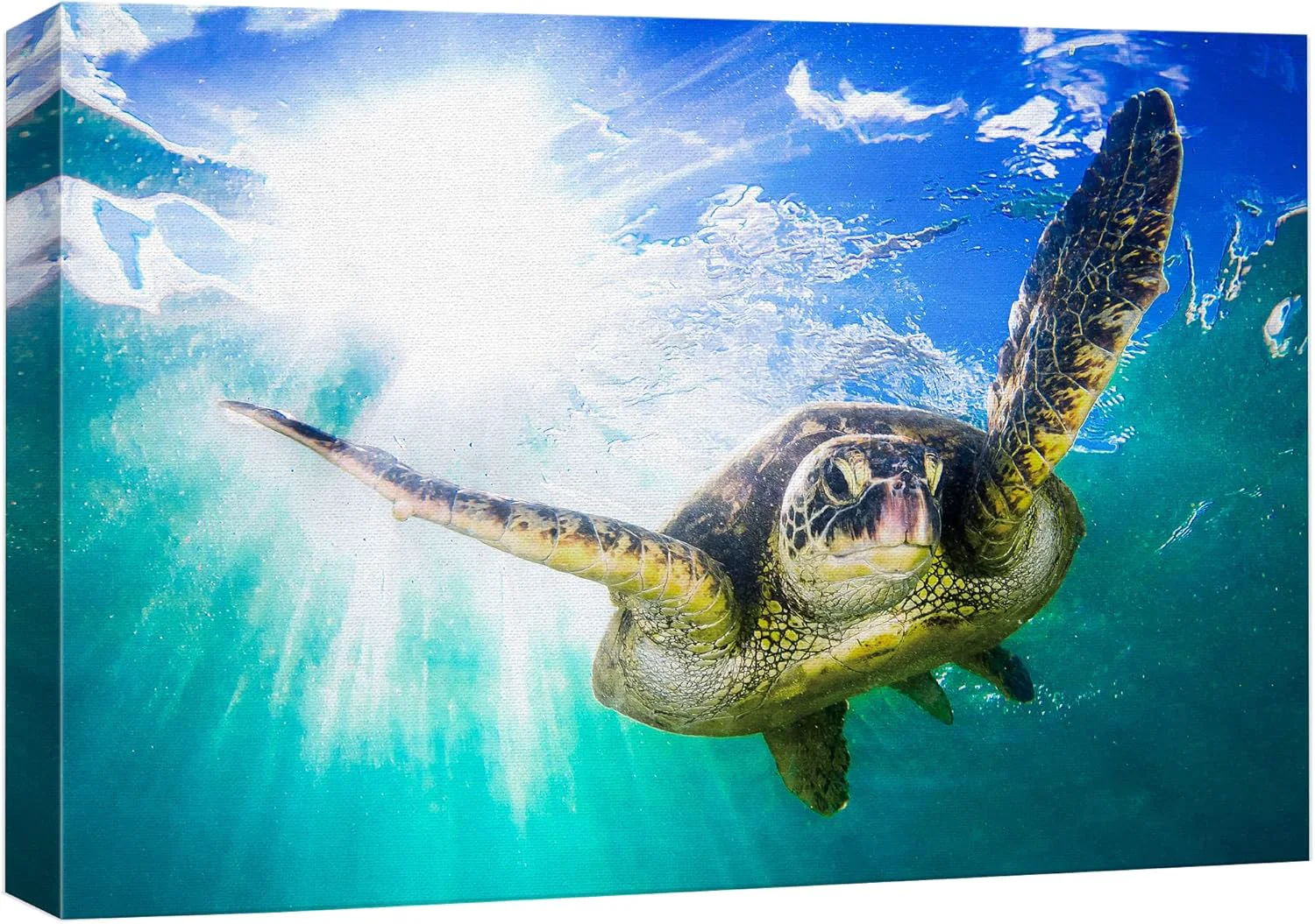Green wall26 Canvas Print Wall Art Sunlight Tropical Ocean Underwater Turtle Nature Animals Photography ism Rustic Scenic Landscape Wilderness Earth Colorful for Living Room Bedroom Office - 12 x18 Dependable