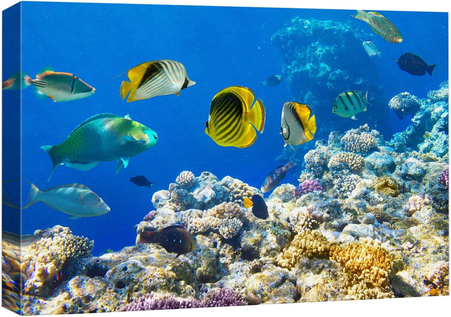 Secure wall26 Canvas Print Wall Art Tropical Island Ocean Sea Fish Coral Reef Nature Animals Photography ism Rustic Scenic Landscape Wilderness Earth Colorful for Living Room Bedroom Office - 12 x18 Solid