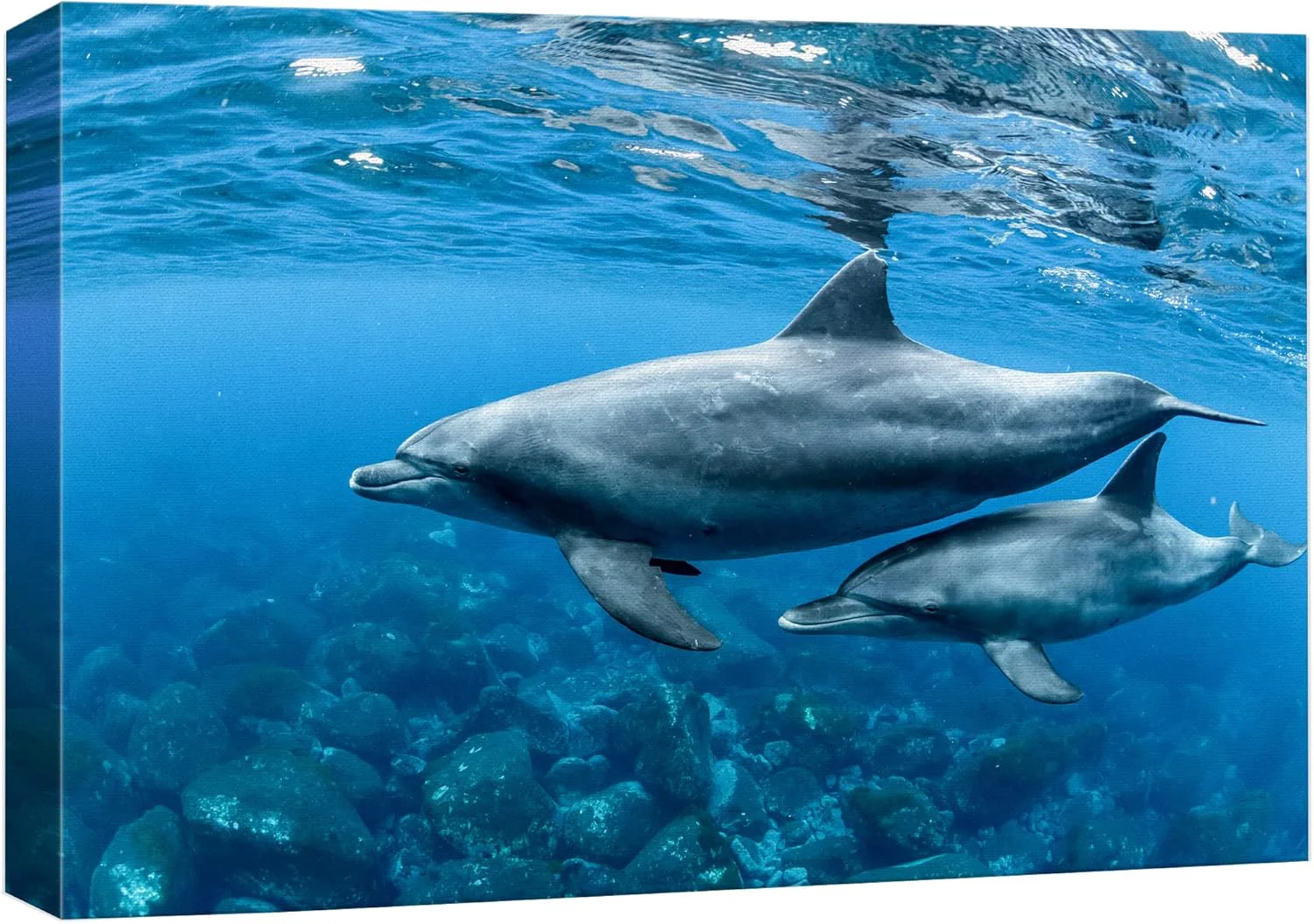 Original wall26 Canvas Print Wall Art Tropical Ocean Sea Underwater Dolphin Duo Nature Animals Photography ism Rustic Scenic Landscape Wilderness Earth Colorful for Living Room Bedroom Office - 12 x18 Prestigious