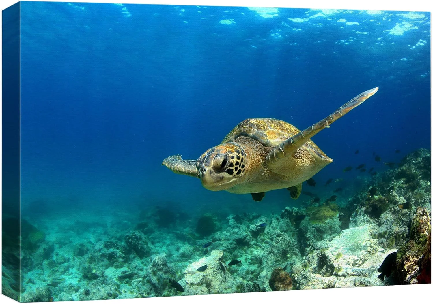 Professional wall26 - Green Sea Turtle in Deep Ocean Sea Canvas Art Wall Art - 32 x48 Pure