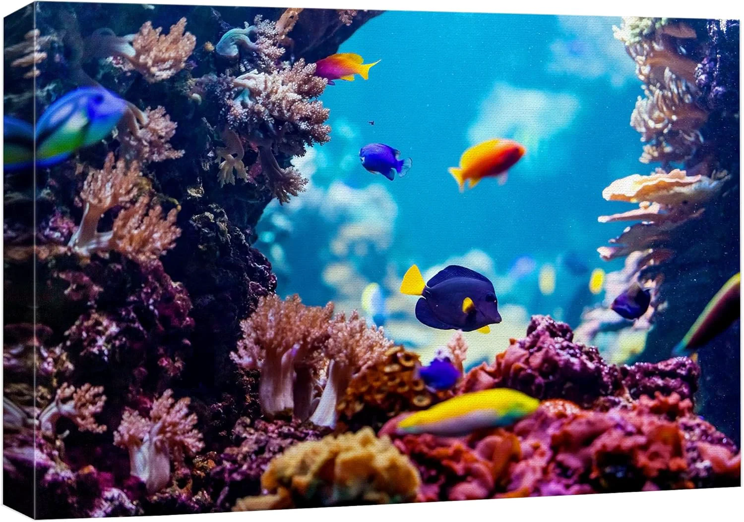 Green wall26 Canvas Print Wall Art Vibrant Blue Pink Coral Reef Blue Hippo Tang Nature Animals Photography ism Rustic Scenic Landscape Wilderness Colorful for Living Room Bedroom Office - 12 x18 Comfortable
