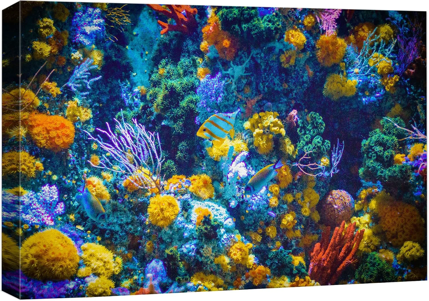 Practical wall26 Canvas Print Wall Art Vibrant Neon Multicolor Anemone Coral Reef Nature Animals Photography ism Rustic Scenic Landscape Wilderness Earth for Living Room Bedroom Office - 24 x36 Professional