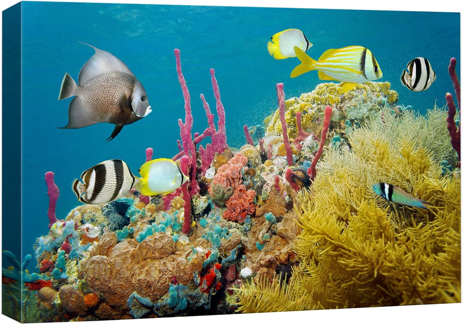 Fine wall26 Canvas Print Wall Art Deep Sea Marine Fish with Coral Reef Nature Ocean Photography ism Nautical Scenic Relax Calm Multicolor Ultra for Living Room Bedroom Office - 24 x36 Professional