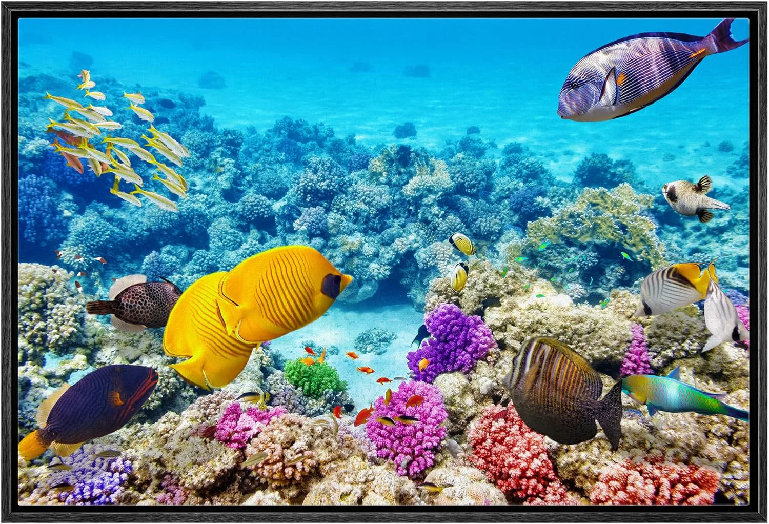 Healthy wall26 Framed Canvas Print Wall Art Tropical Underwater Ocean Sea Fish Reef Nature Animals ism Rustic Scenic Landscape Wilderness Earth Colorful for Living Room Bedroom Office - 24 x36 Black Excellent