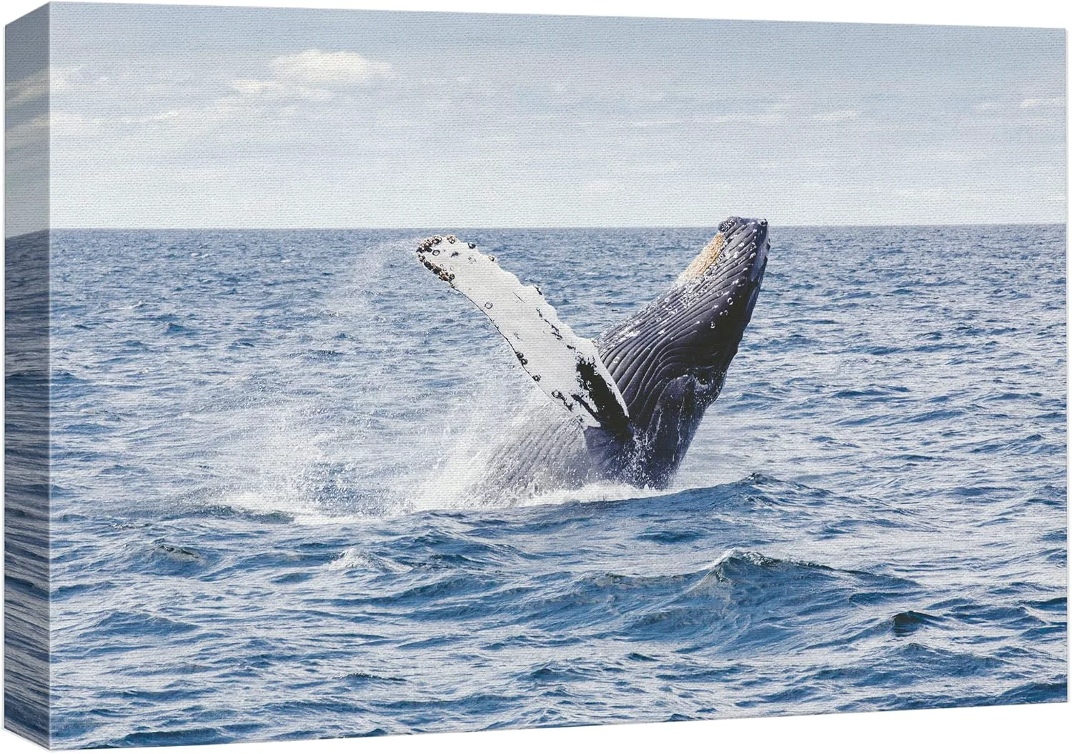 Green wall26 Canvas Print Wall Art Tropical Ocean Sea Water Horizon Blue Whale Nature Animals Photography ism Rustic Scenic Landscape Wilderness Colorful for Living Room Bedroom Office - 16 x24 High-Quality