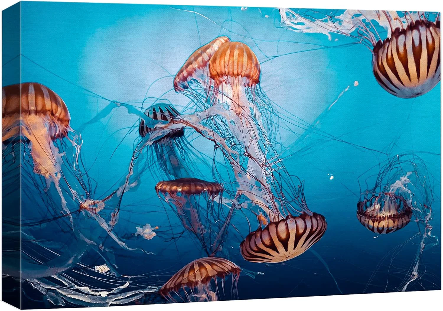 High-Quality wall26 Canvas Print Wall Art Tiger Stripe Jellyfish Underwater Ocean Sea Nature Animals Photography ism Rustic Scenic Landscape Wilderness Colorful for Living Room Bedroom Office - 24 x36 Breathable
