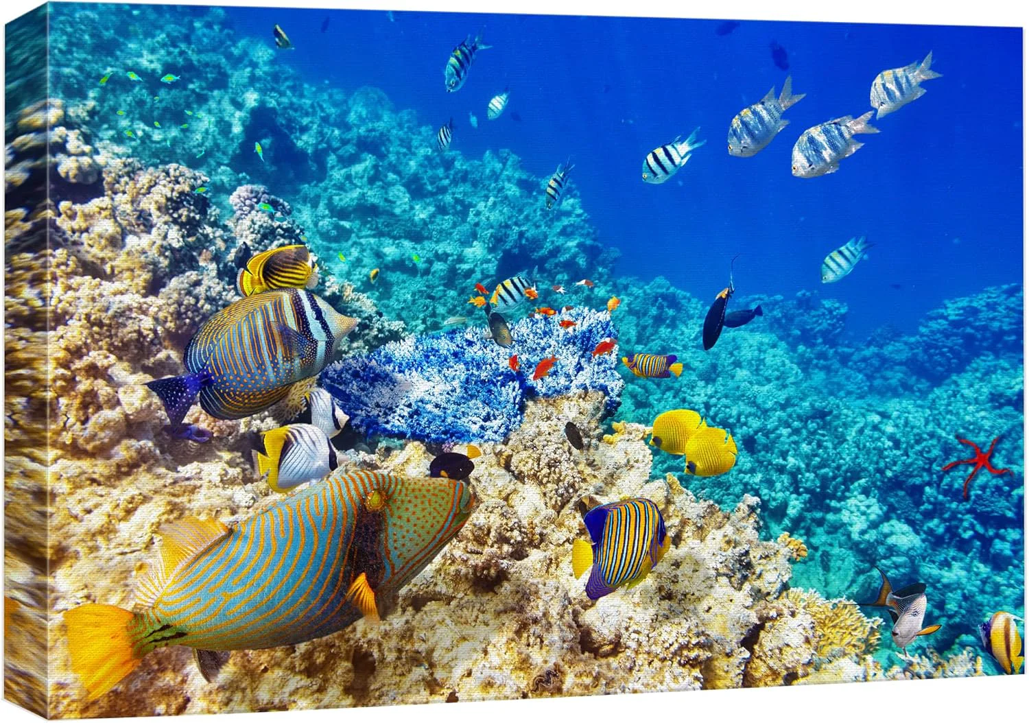 Reusable wall26 Canvas Print Wall Art Underwater Neon Blue Teal Ocean Water Fish Nature Animals Photography ism Rustic Scenic Landscape Wilderness Earth for Living Room Bedroom Office - 12 x18 Sustainable