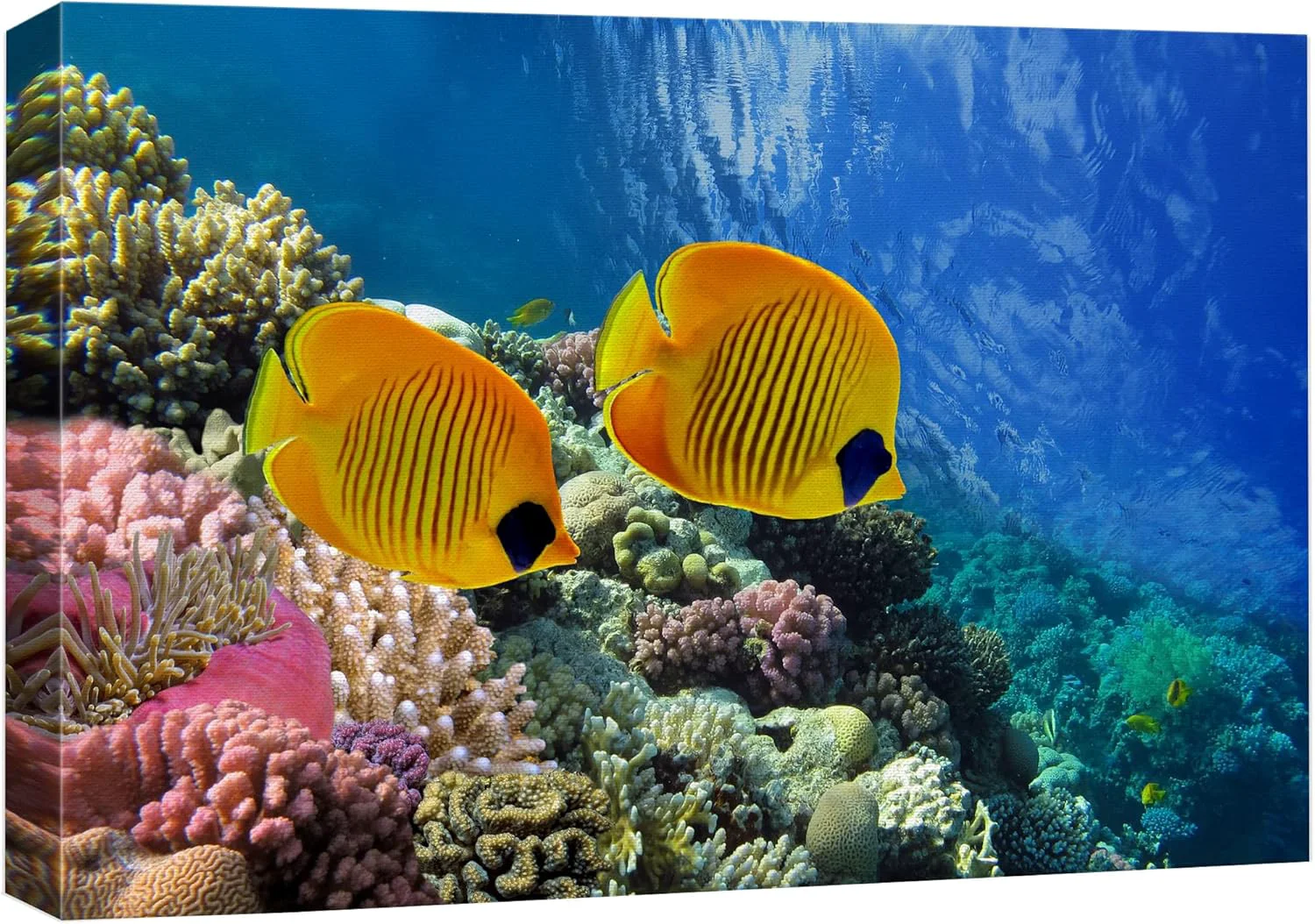 Next-Generation wall26 Canvas Print Wall Art Tropical Yellow Fish with Vibrant Coral Reef Nature Ocean Photography ism Nautical Scenic Relax Calm Multicolor Ultra for Living Room Bedroom Office - 32 x48 Reliable