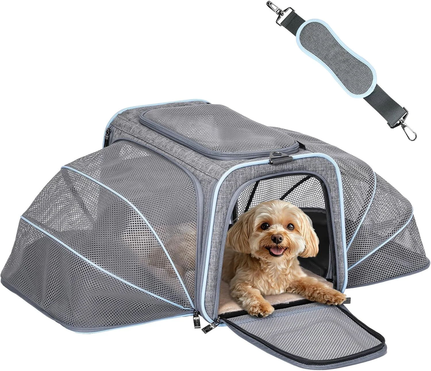 Official Petsfit Expandable Large Cat Carrier Small Dog Carriers Airline 17 Lx 11 Wx 11 H Soft-Sided Portable Washable Pet Travel Carrier with 2 Extension for Kittens Puppies Rabbits Artisan