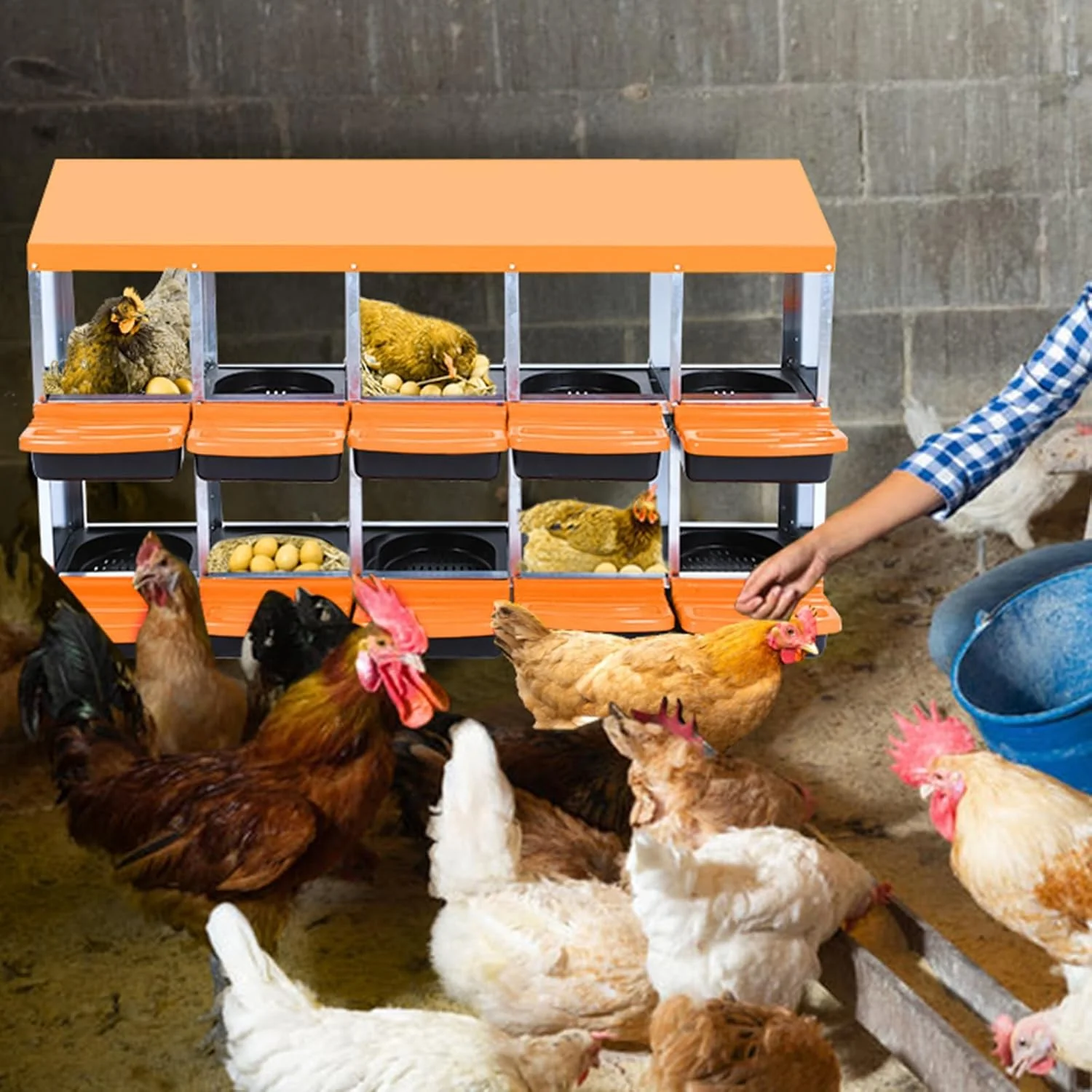 Practical Chicken Nesting Boxes 10 Hole Metal Chicken Laying Box with with Removable Trays and Roll Out Egg Collection for Chicken Coop Orange Certified