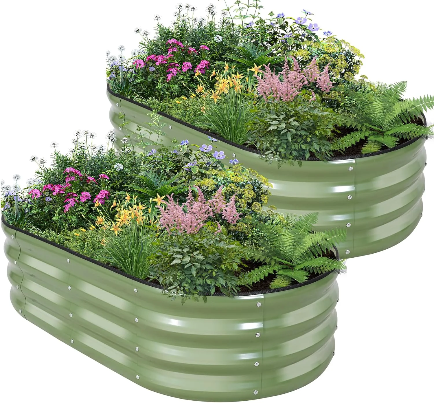 Relaxed Galvanized Raised Garden Bed - 4×2×1ft 2 Packs Planter Raised Beds for Gardening Oval Metal Garden Planter Box with Safety Edging and Gloves for Vegetables Fruits and Flower OliveGreen Secure
