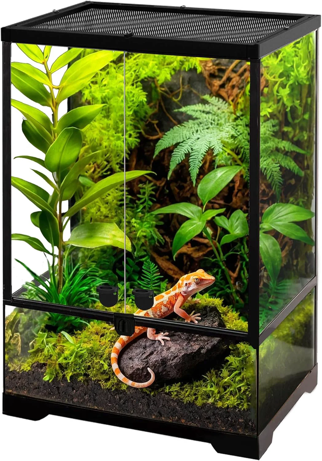 Smooth 10 Gallon Professional Glass Terrarium 12 x12 x18 Durable Reptile Habitat Tank with Heat Resistant Aluminum Alloy Frame Dual Front Swinging Doors for no Jam by Sand and Other Debris Detailed