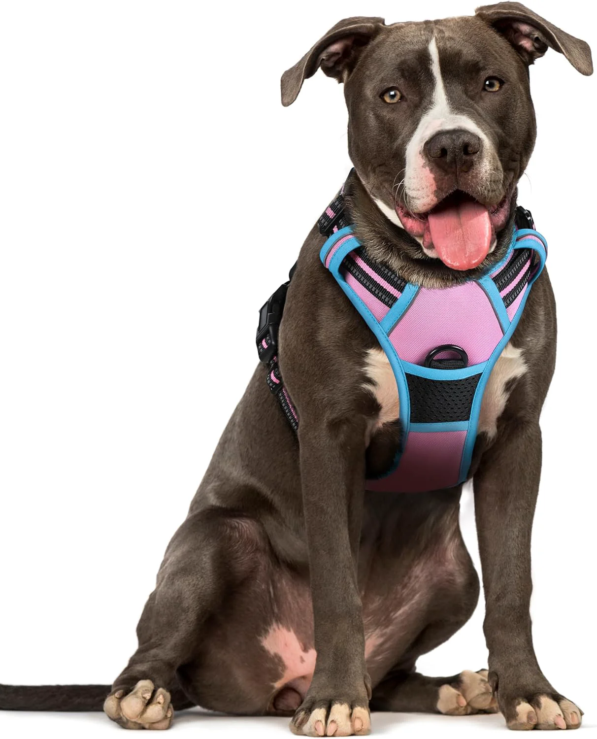Refined rabbitgoo Dog Harness No Pull with 2 Leash Clips Adjustable Soft Padded Reflective Oxford No Choke Pet Vest with Easy Control Handle for Large Dogs Pink Blue L Dependable