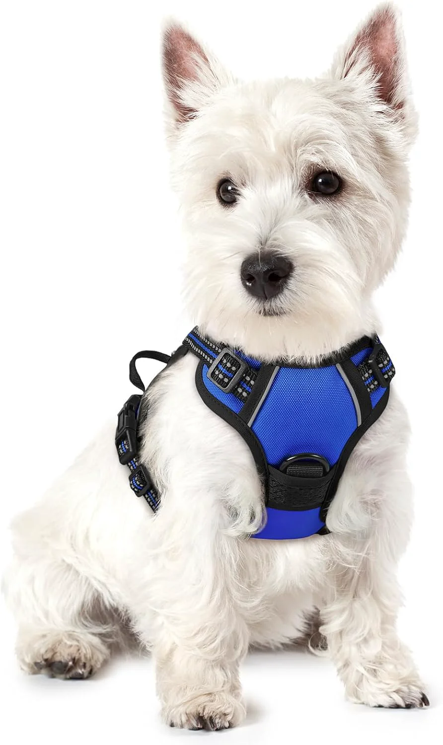 High-Grade rabbitgoo Dog Harness No Pull with 2 Leash Clips Adjustable Soft Padded Reflective Oxford No Choke Pet Vest with Easy Control Handle for Puppy Dazzling Blue XS Official