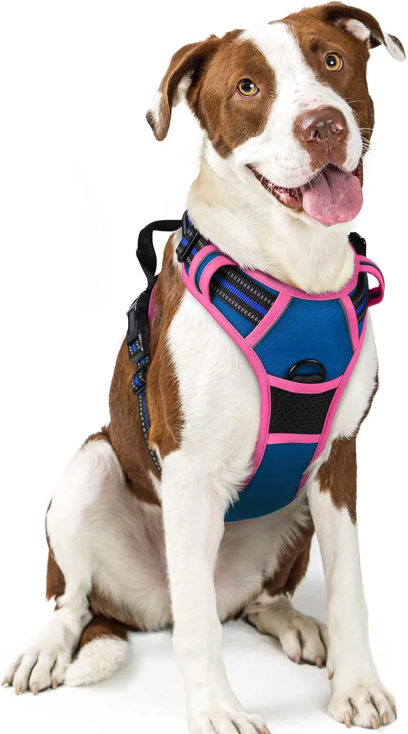Organic rabbitgoo Dog Harness No Pull with 2 Leash Clips Adjustable Soft Padded Reflective Oxford No Choke Pet Vest with Easy Control Handle for Large Dogs Blue Hot Pink L Responsible