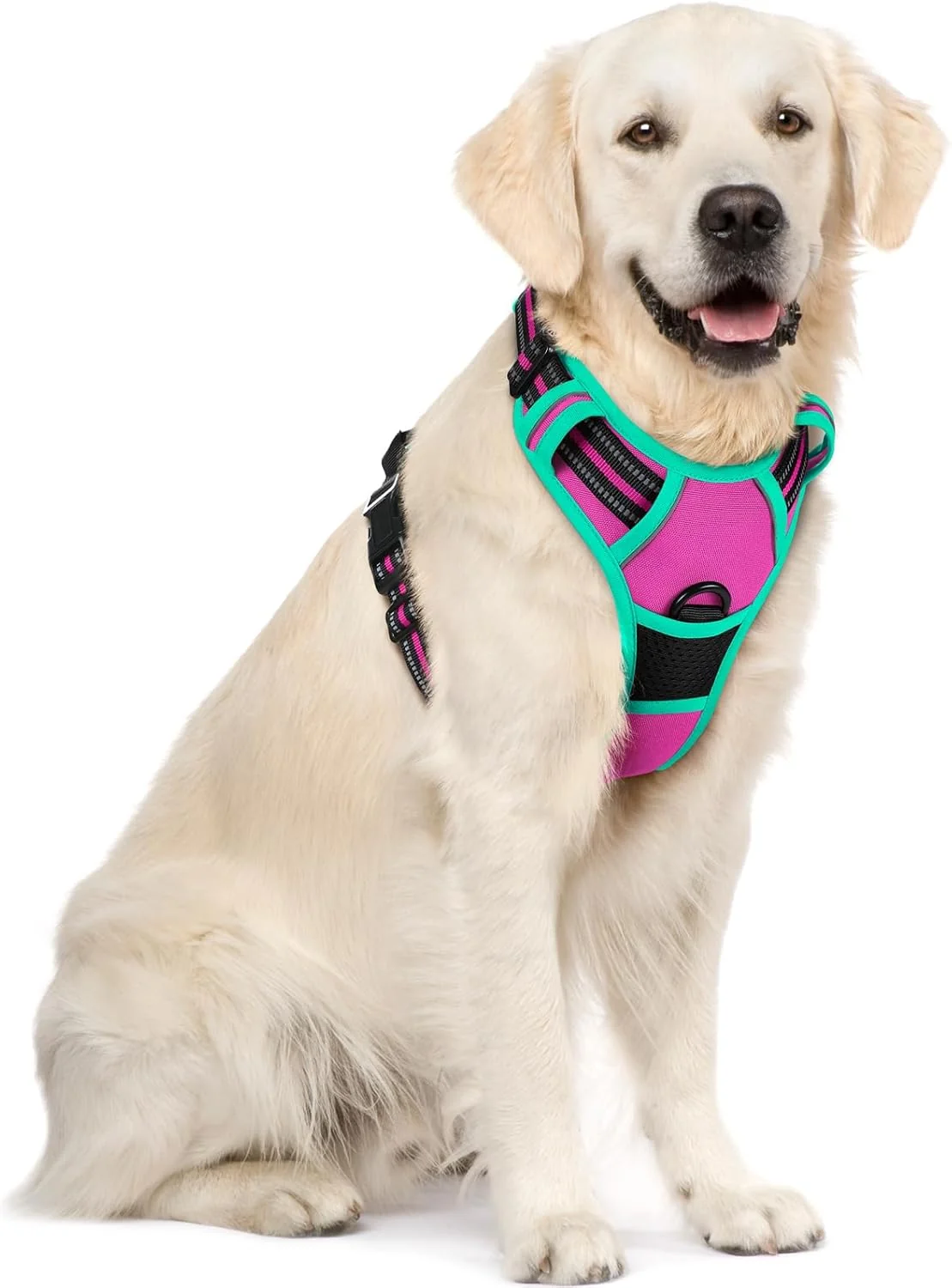 Sophisticated rabbitgoo Dog Harness No Pull with 2 Leash Clips Adjustable Soft Padded Reflective Oxford No Choke Pet Vest with Easy Control Handle for Large Dogs Hot Pink Turquoise XL Responsible