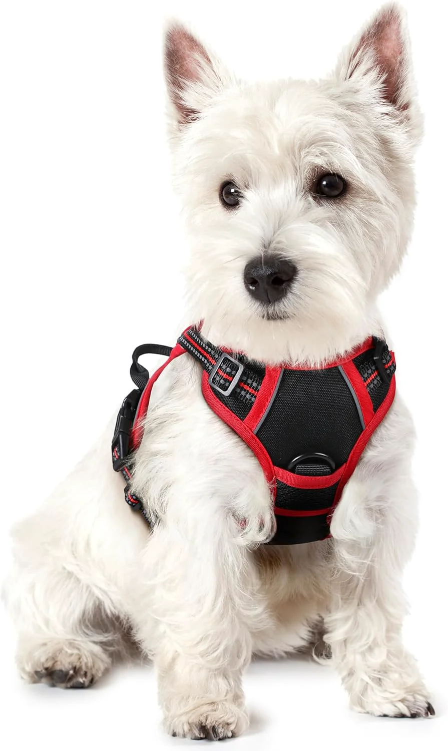 Excellent rabbitgoo Dog Harness No Pull with 2 Leash Clips Adjustable Soft Padded Reflective Oxford No Choke Pet Vest with Easy Control Handle for Puppy Black Red XS Powerful