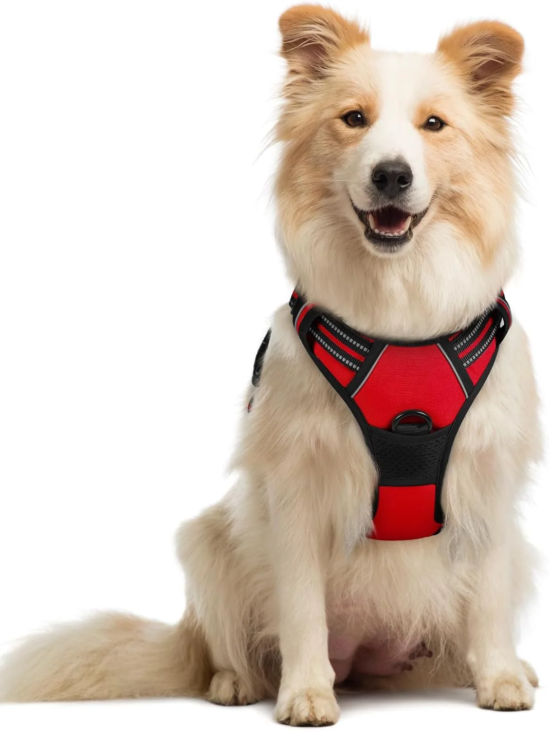 Elite rabbitgoo Dog Harness No Pull with 2 Leash Clips Adjustable Soft Padded Reflective Oxford No Choke Pet Vest with Easy Control Handle for Medium Sized Dogs Red M Fine
