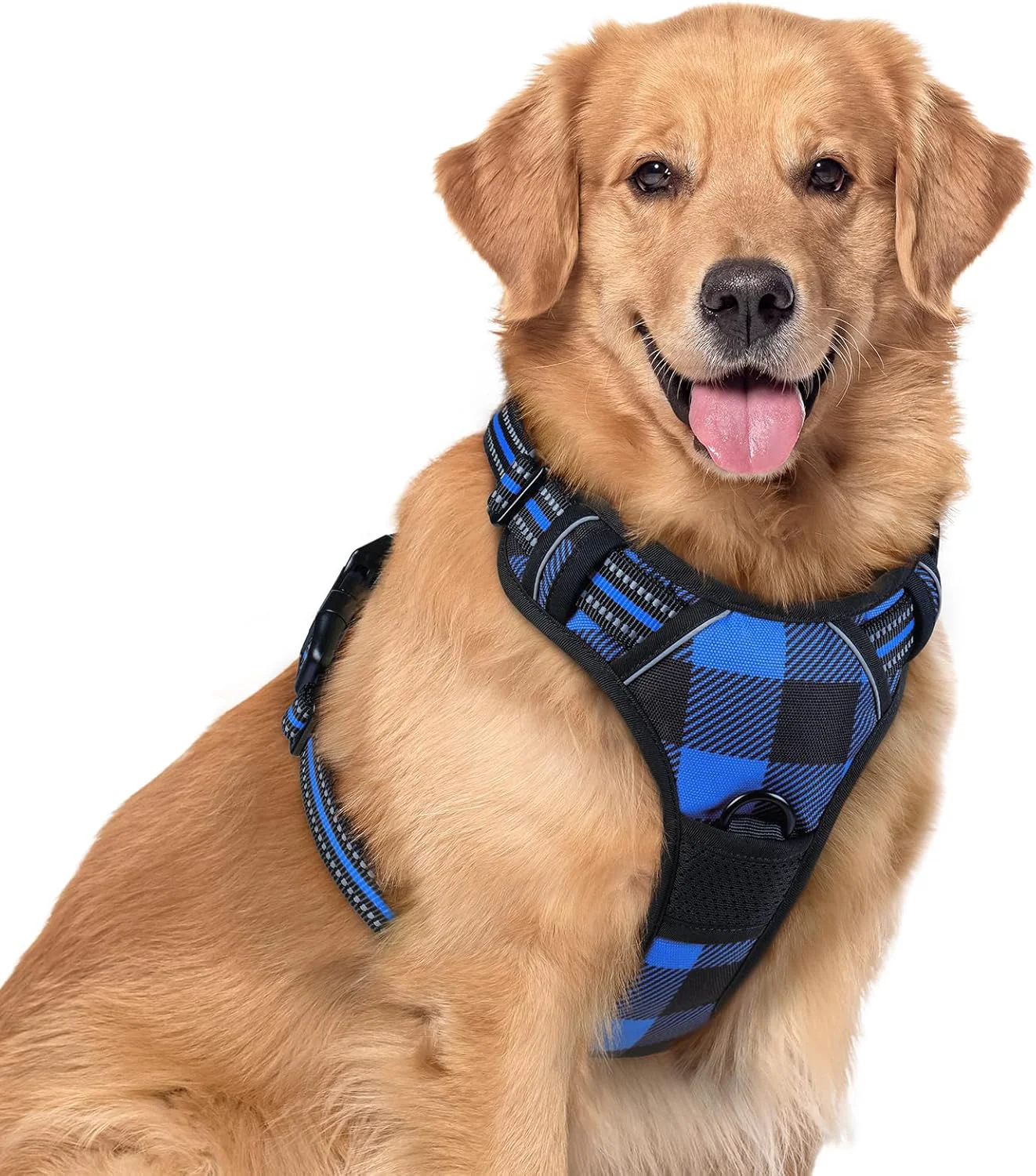 Premium rabbitgoo Dog Harness No Pull with 2 Leash Clips Adjustable Soft Padded Reflective Oxford No Choke Pet Vest with Easy Control Handle for Large Dogs Blue Plaid XL Contemporary