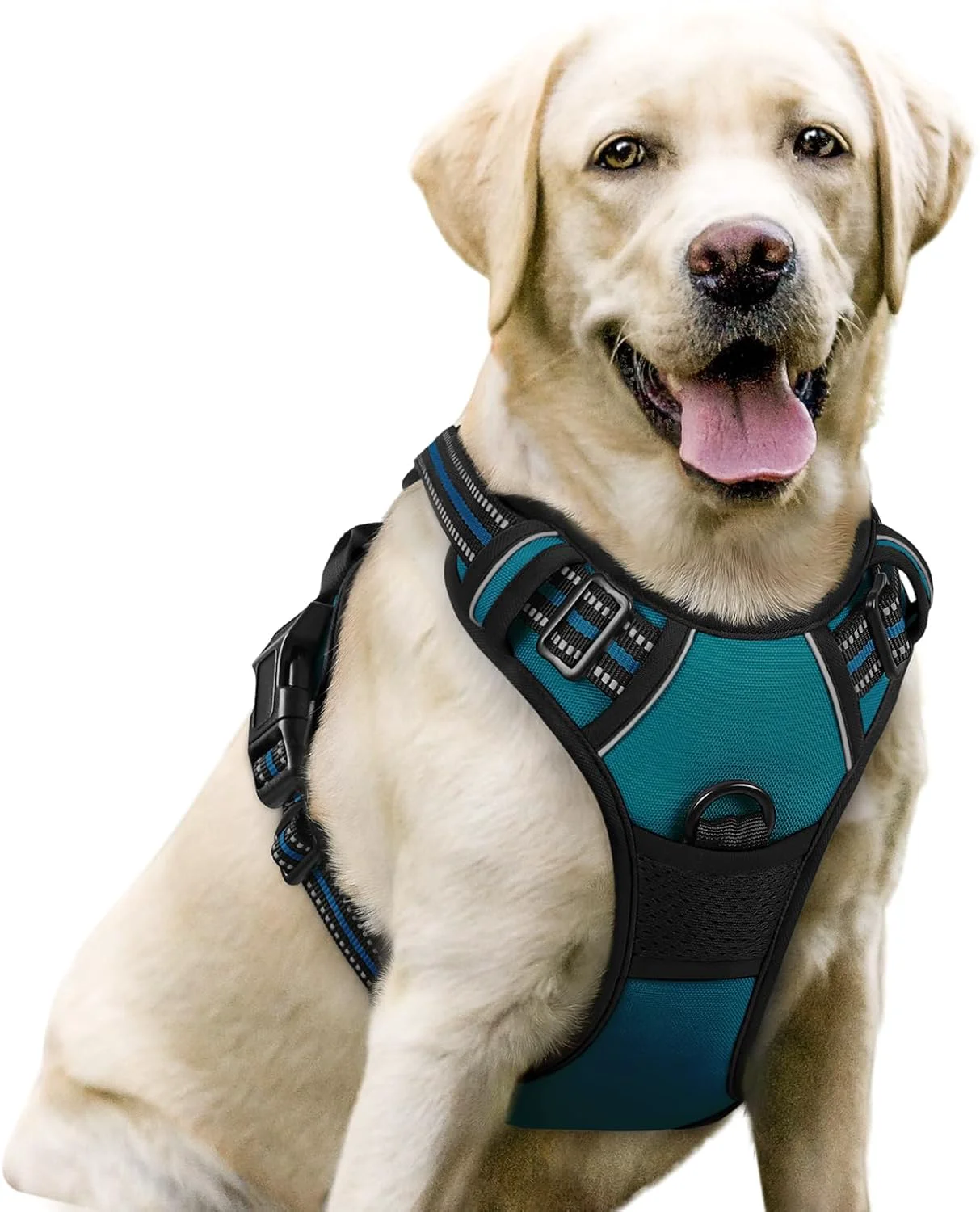 Consistent rabbitgoo Dog Harness No Pull with 2 Leash Clips Adjustable Soft Padded Reflective Oxford No Choke Pet Vest with Easy Control Handle for Large Dogs Blue Coral L Versatile