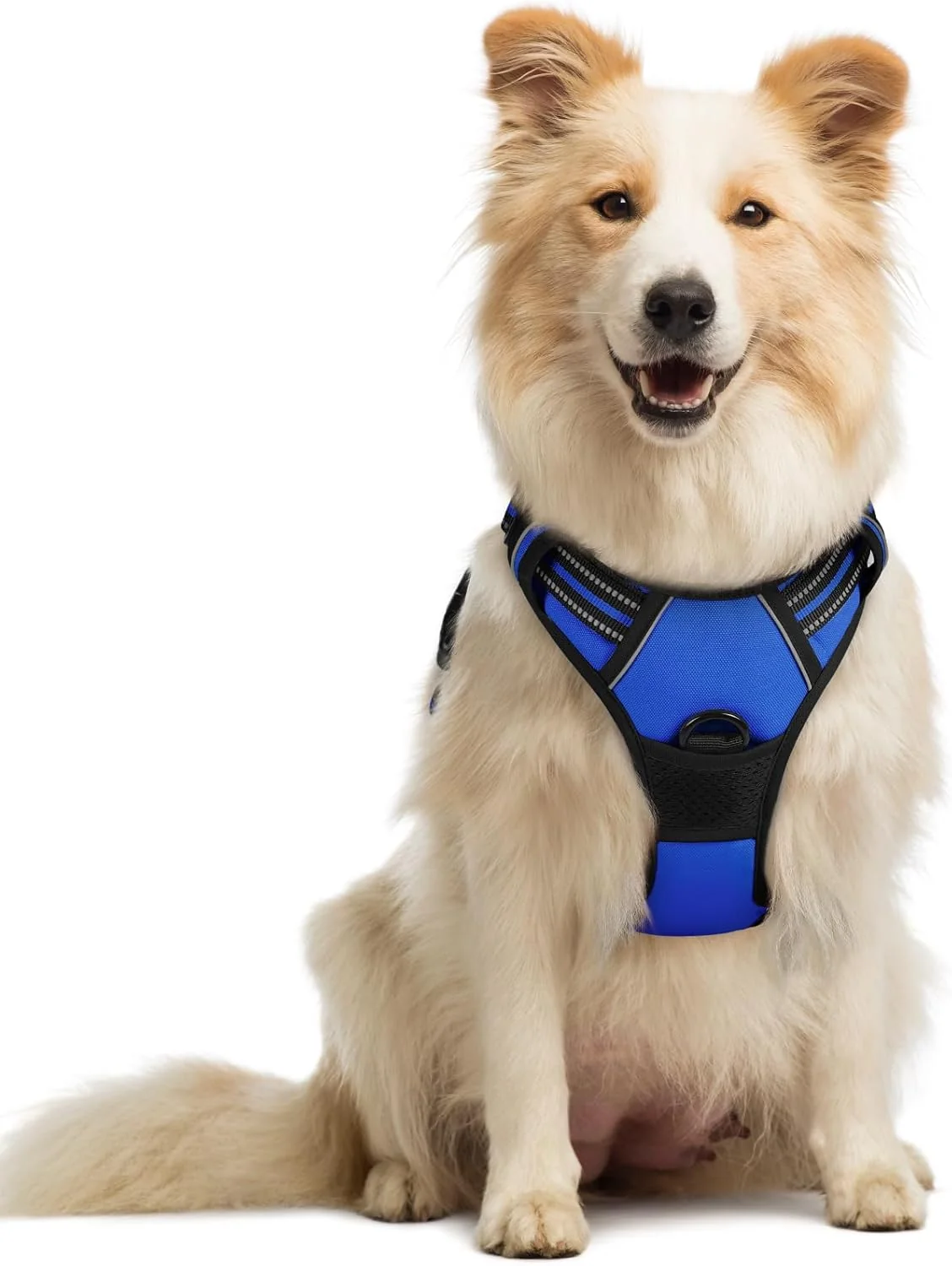 Recyclable rabbitgoo Dog Harness No Pull with 2 Leash Clips Adjustable Soft Padded Reflective Oxford No Choke Pet Vest with Easy Control Handle for Medium Sized Dogs Dazzling Blue M Long-Lasting