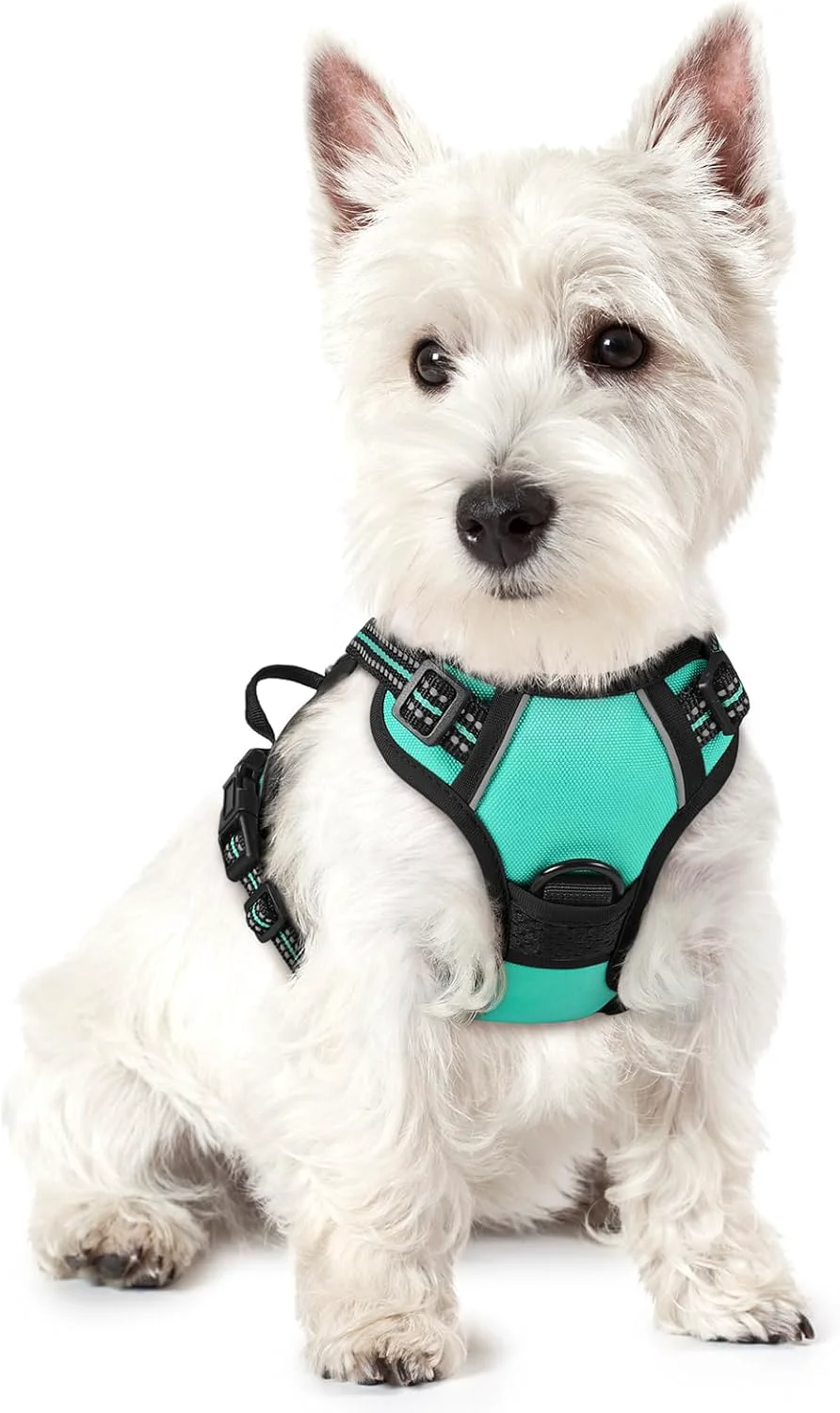 Smooth rabbitgoo Dog Harness No Pull with 2 Leash Clips Adjustable Soft Padded Reflective Oxford No Choke Pet Vest with Easy Control Handle for Puppy Turquoise XS Convenient