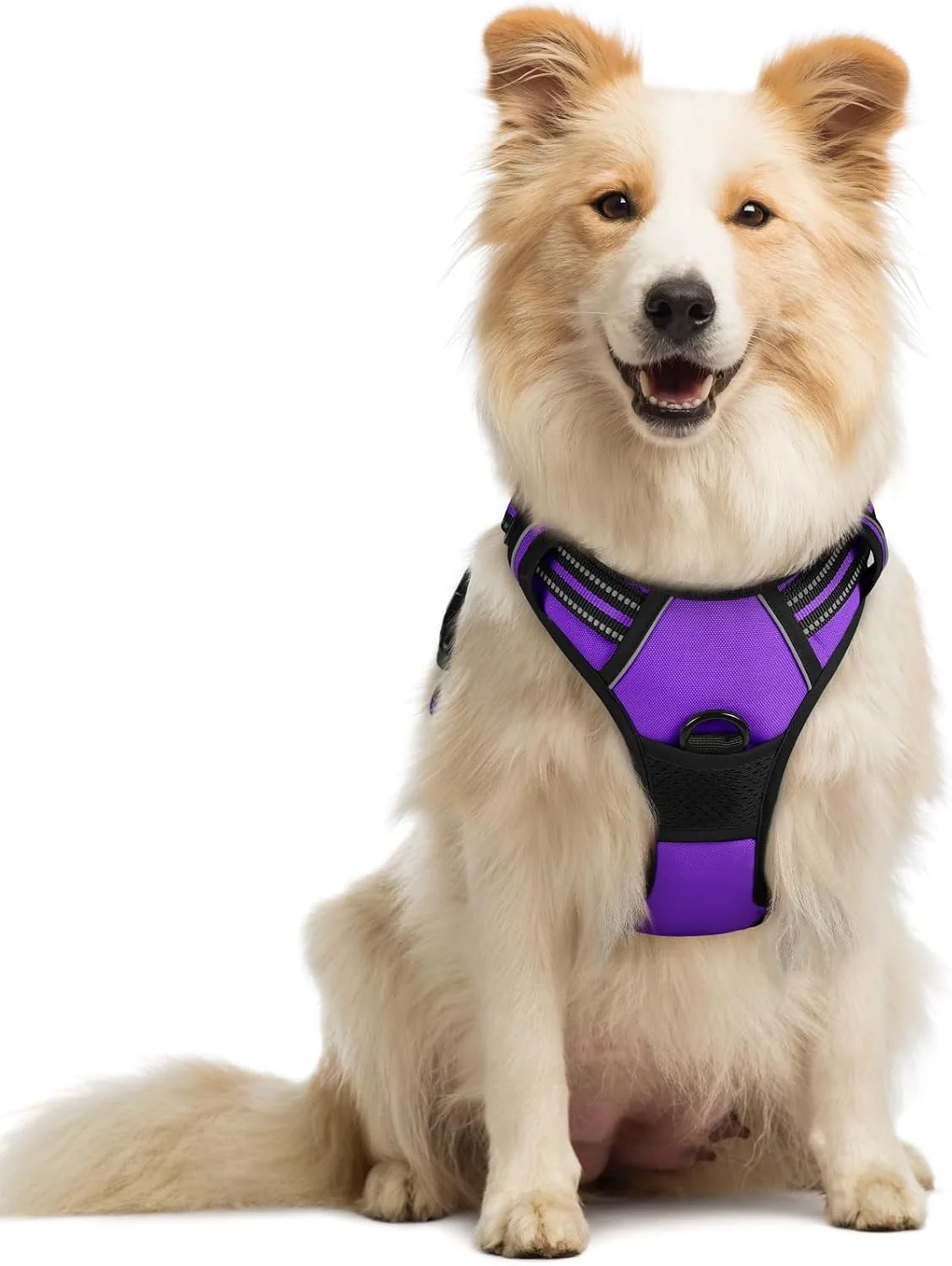 Recyclable rabbitgoo Dog Harness No Pull with 2 Leash Clips Adjustable Soft Padded Reflective Oxford No Choke Pet Vest with Easy Control Handle for Medium Sized Dogs Purple M Solid
