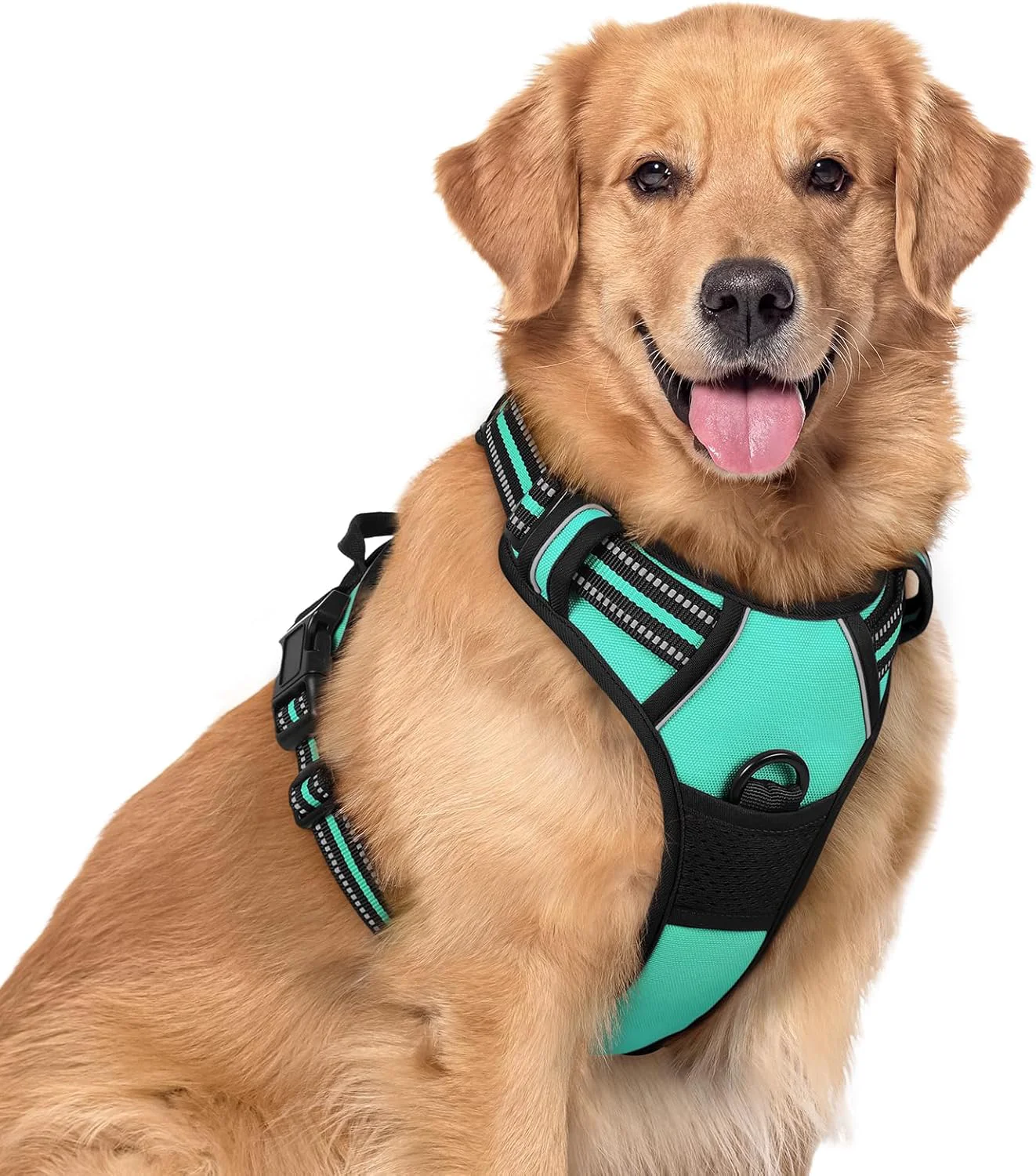 Eco-Friendly rabbitgoo Dog Harness No Pull with 2 Leash Clips Adjustable Soft Padded Reflective Oxford No Choke Pet Vest with Easy Control Handle for Large Dogs Turquoise XL Exclusive