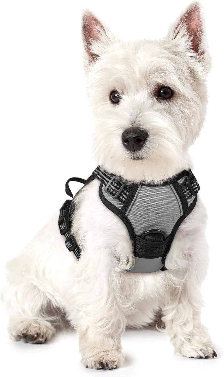 Long-Lasting rabbitgoo Dog Harness No Pull with 2 Leash Clips Adjustable Soft Padded Reflective Oxford No Choke Pet Vest with Easy Control Handle for Puppy Grey XS Quality