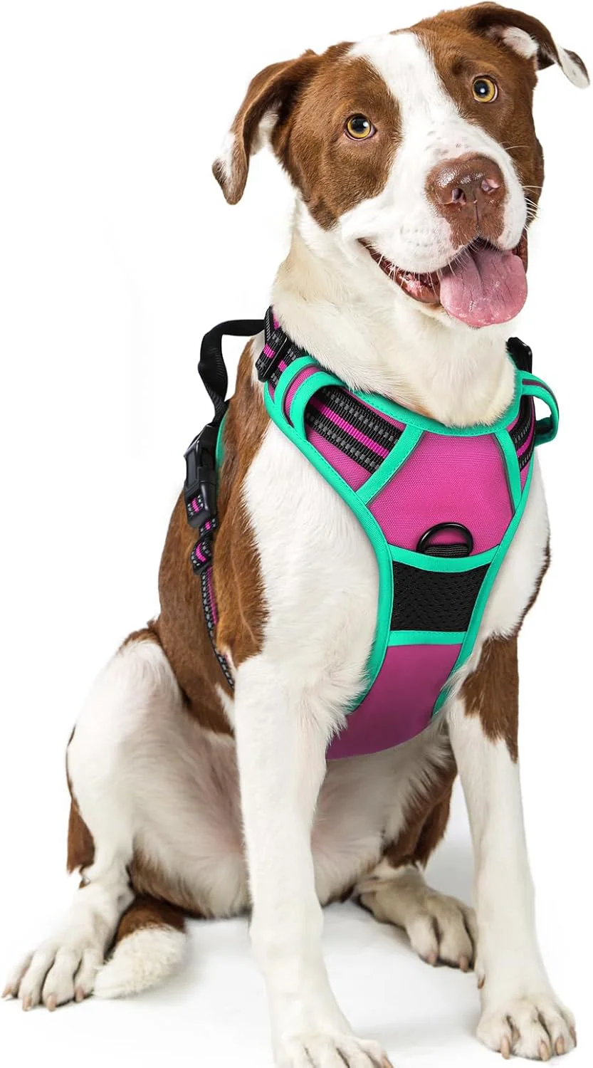 Powerful rabbitgoo Dog Harness No Pull with 2 Leash Clips Adjustable Soft Padded Reflective Oxford No Choke Pet Vest with Easy Control Handle for Large Dogs Hot Pink Turquoise L Luxury