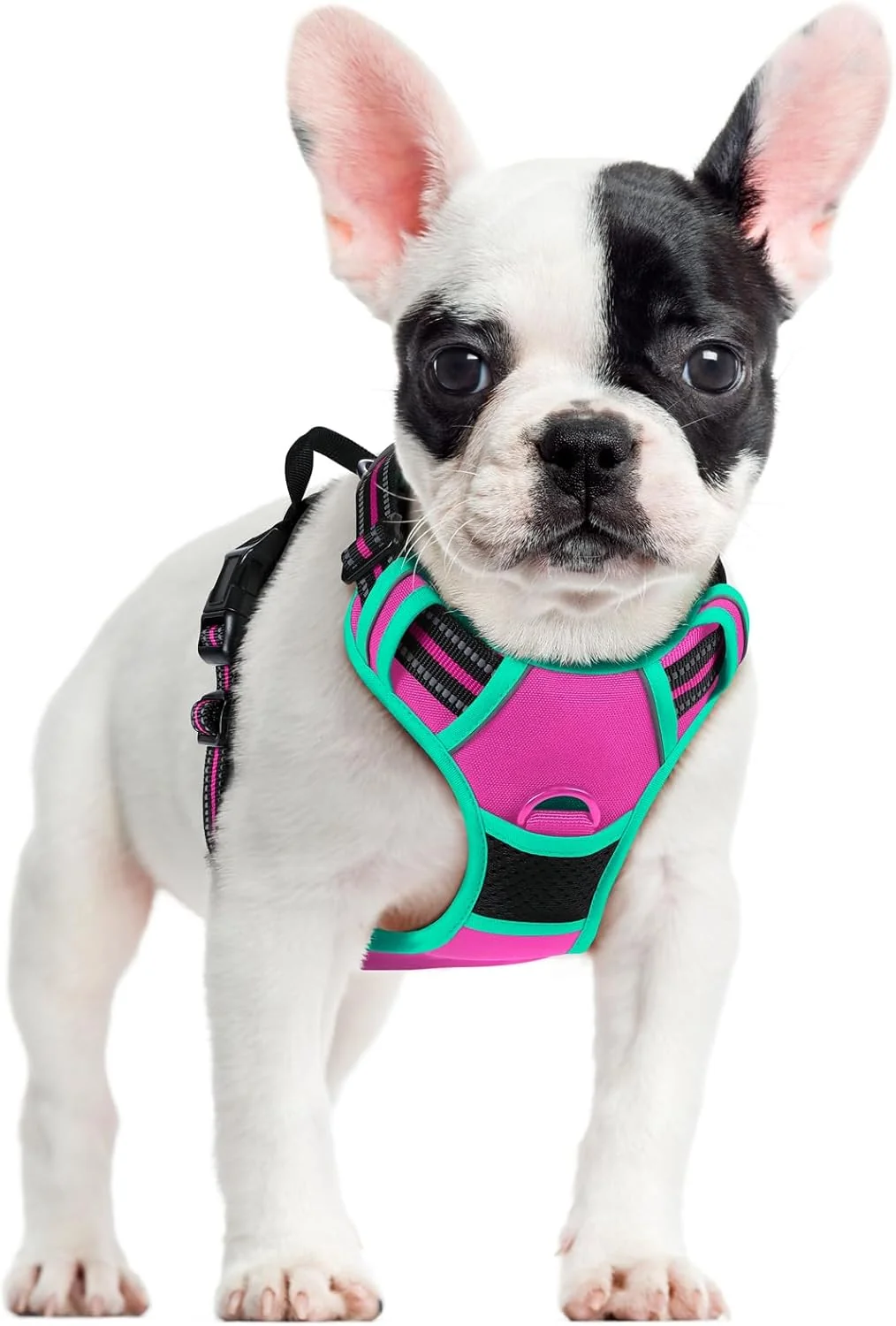 Functional rabbitgoo Dog Harness No Pull with 2 Leash Clips Adjustable Soft Padded Reflective Oxford No Choke Pet Vest with Easy Control Handle for Large Dogs Hot Pink Turquoise S Premium