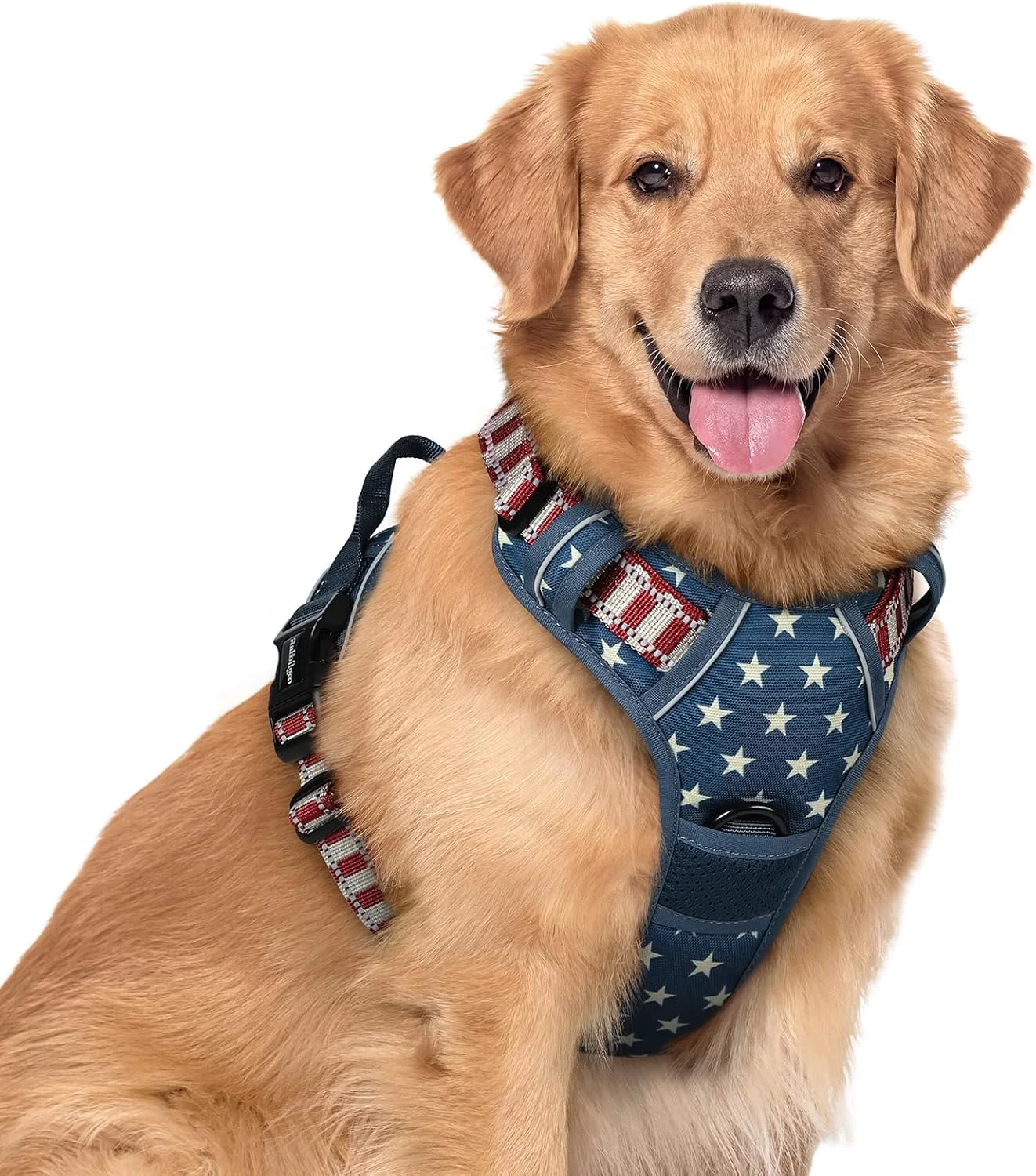 Fast rabbitgoo Dog Harness No Pull with 2 Leash Clips Smart