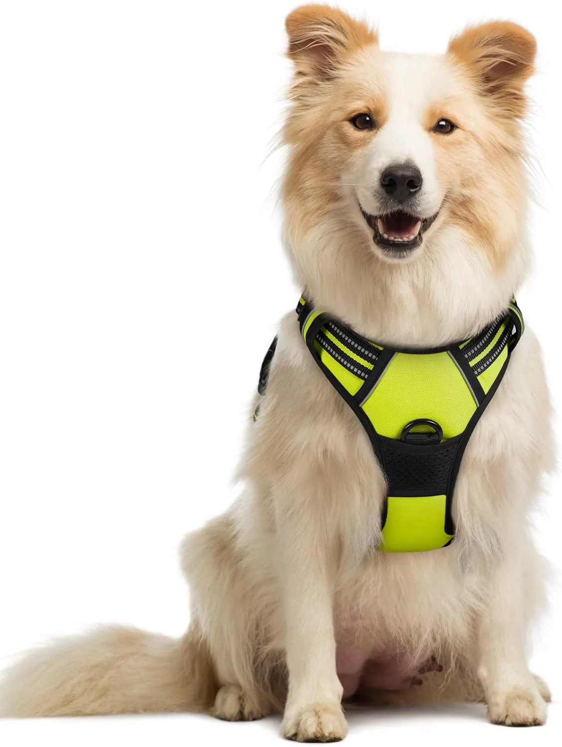 Smart rabbitgoo Dog Harness No Pull with 2 Leash Clips Adjustable Soft Padded Reflective Oxford No Choke Pet Vest with Easy Control Handle for Medium Sized Dogs Green M Fashionable