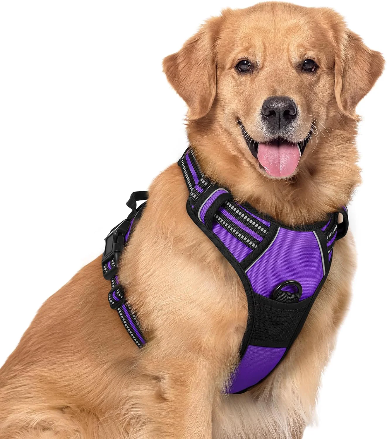 Trusted rabbitgoo Dog Harness No Pull with 2 Leash Clips Adjustable Soft Padded Reflective Oxford No Choke Pet Vest with Easy Control Handle for Large Dogs Purple XL Superior