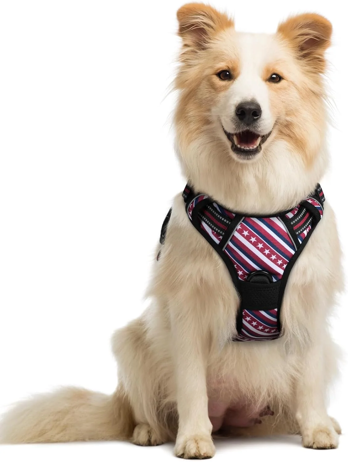 Healthy rabbitgoo Dog Harness No Pull with 2 Leash Clips Adjustable Soft Padded Reflective Oxford No Choke Pet Vest with Easy Control Handle for Large Dogs Red Stripe M Exceptional