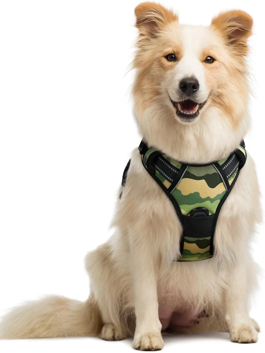 Relaxed rabbitgoo Dog Harness No Pull with 2 Leash Clips Adjustable Soft Padded Reflective Oxford No Choke Pet Vest with Easy Control Handle for Large Dogs Green Mountain M Fast